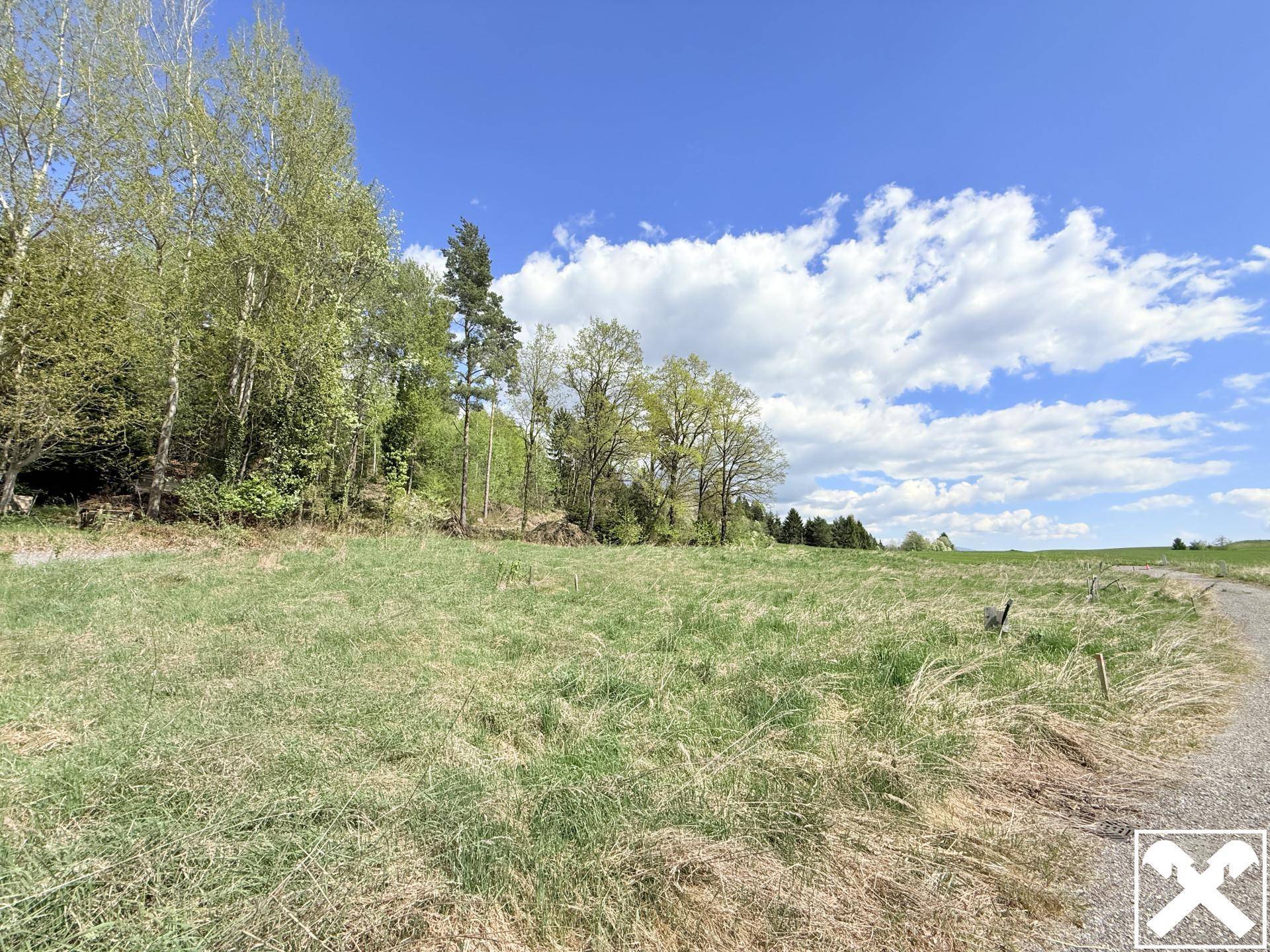 Offene Wiesenfläche mit vereinzelten Bäumen und einem blauen Himmel mit weißen Wolken.