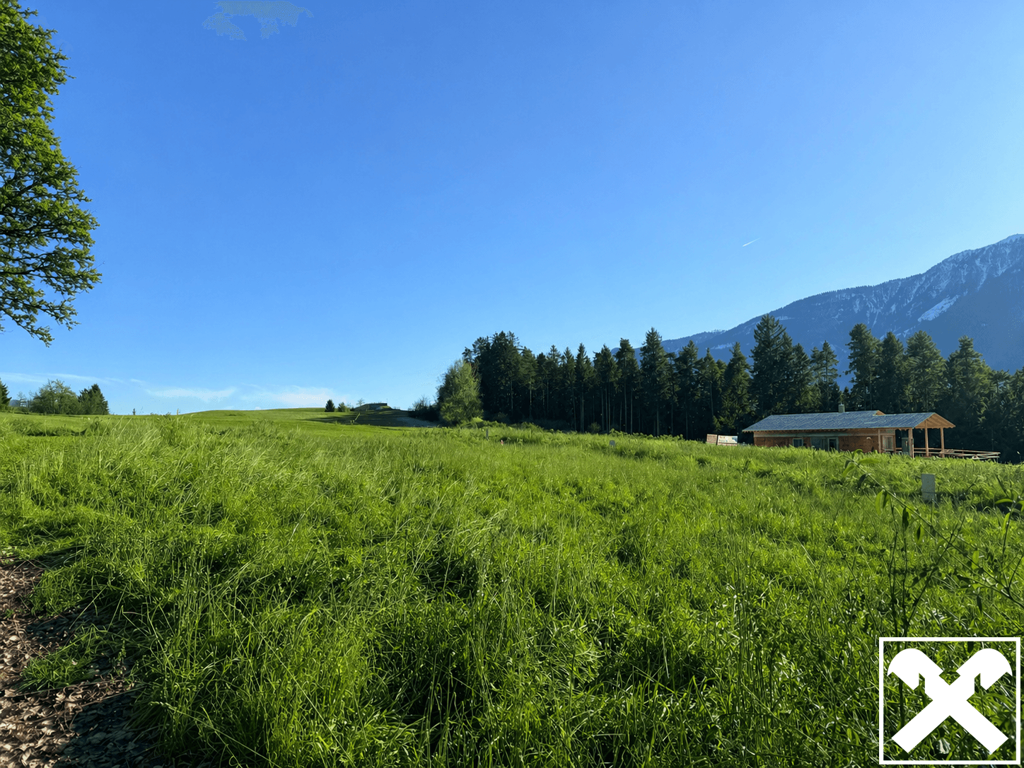 Weitläufige grüne Wiesenfläche mit Waldrand und einem Gebäude im Hintergrund, umgeben von Bergen.