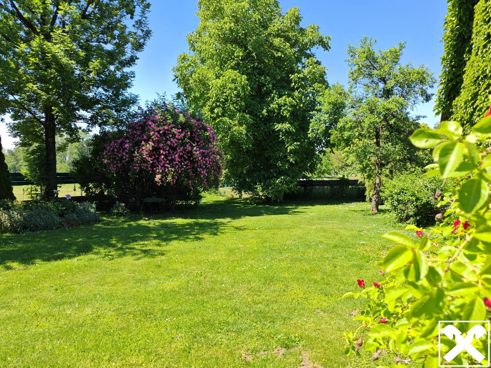 Gepflegter, weitläufiger Garten mit sattgrünem Rasen, verschiedenen Bäumen und blühenden Sträuchern.