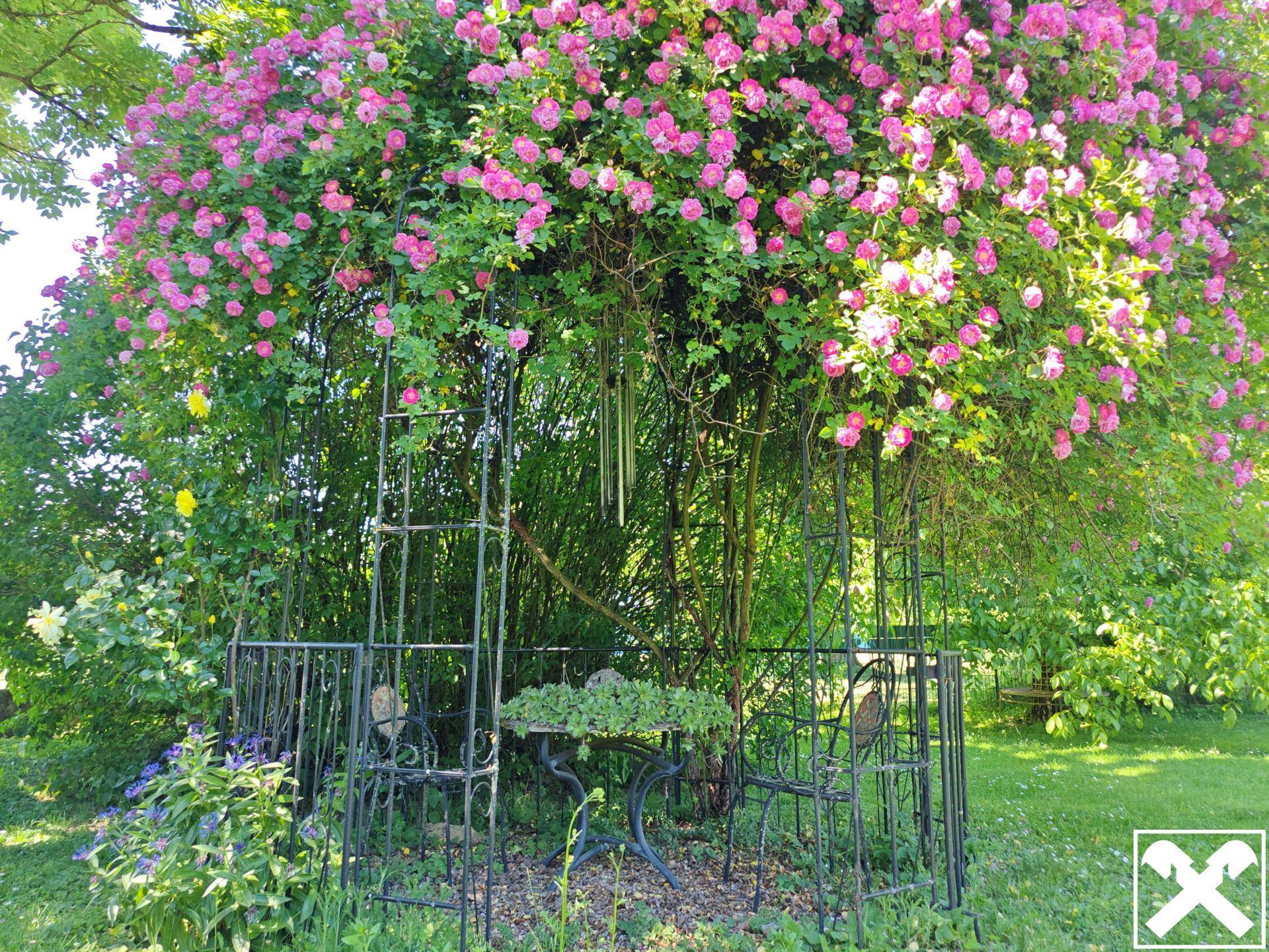 Romantischer Rosenpavillon mit Sitzgelegenheiten, umgeben von üppig blühenden Kletterrosen.