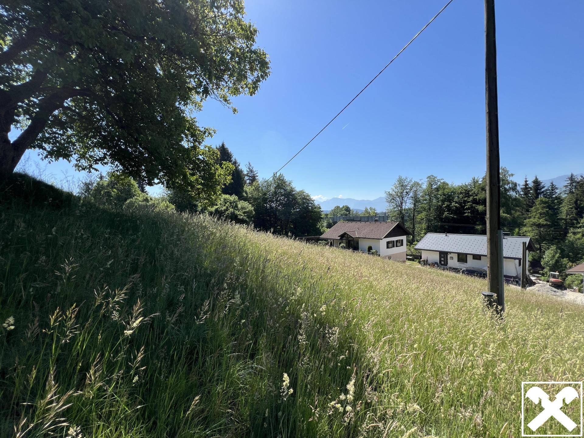 Grüne Wiese mit Bäumen und Häusern im Hintergrund, mit Bergblick unter blauem Himmel.