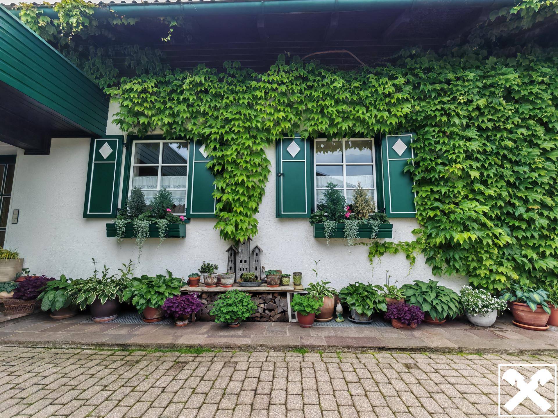 Detailansicht der Hausfassade mit grünen Fensterläden, Kletterpflanzen und vielen Topfpflanzen.