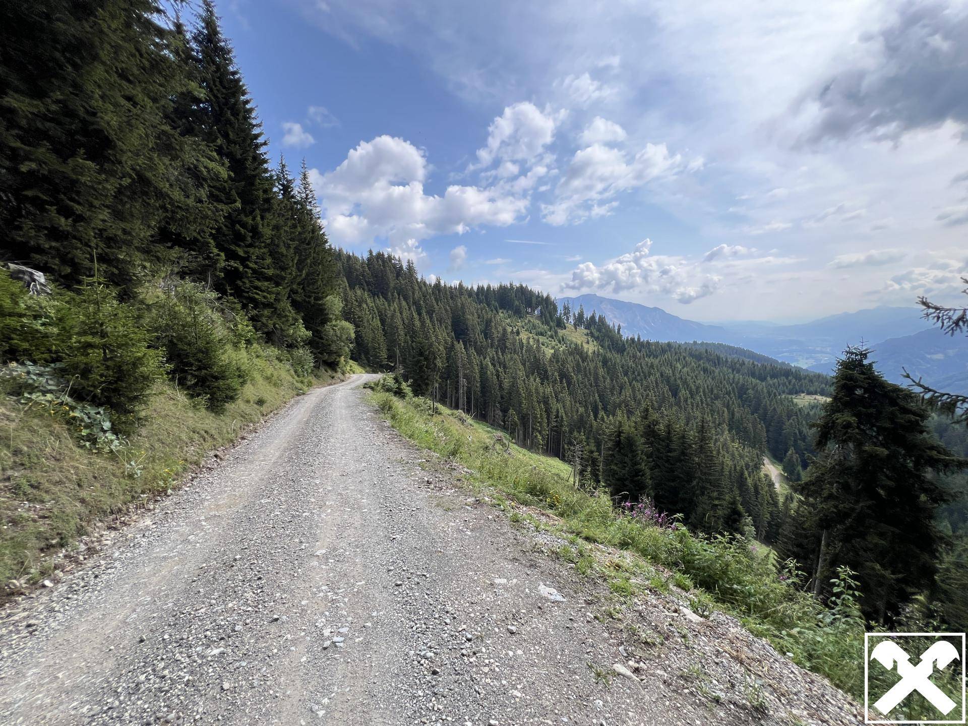 Ein Schotterweg schlängelt sich durch einen bewaldeten Berghang mit weitem Blick auf die umliegende Landschaft.