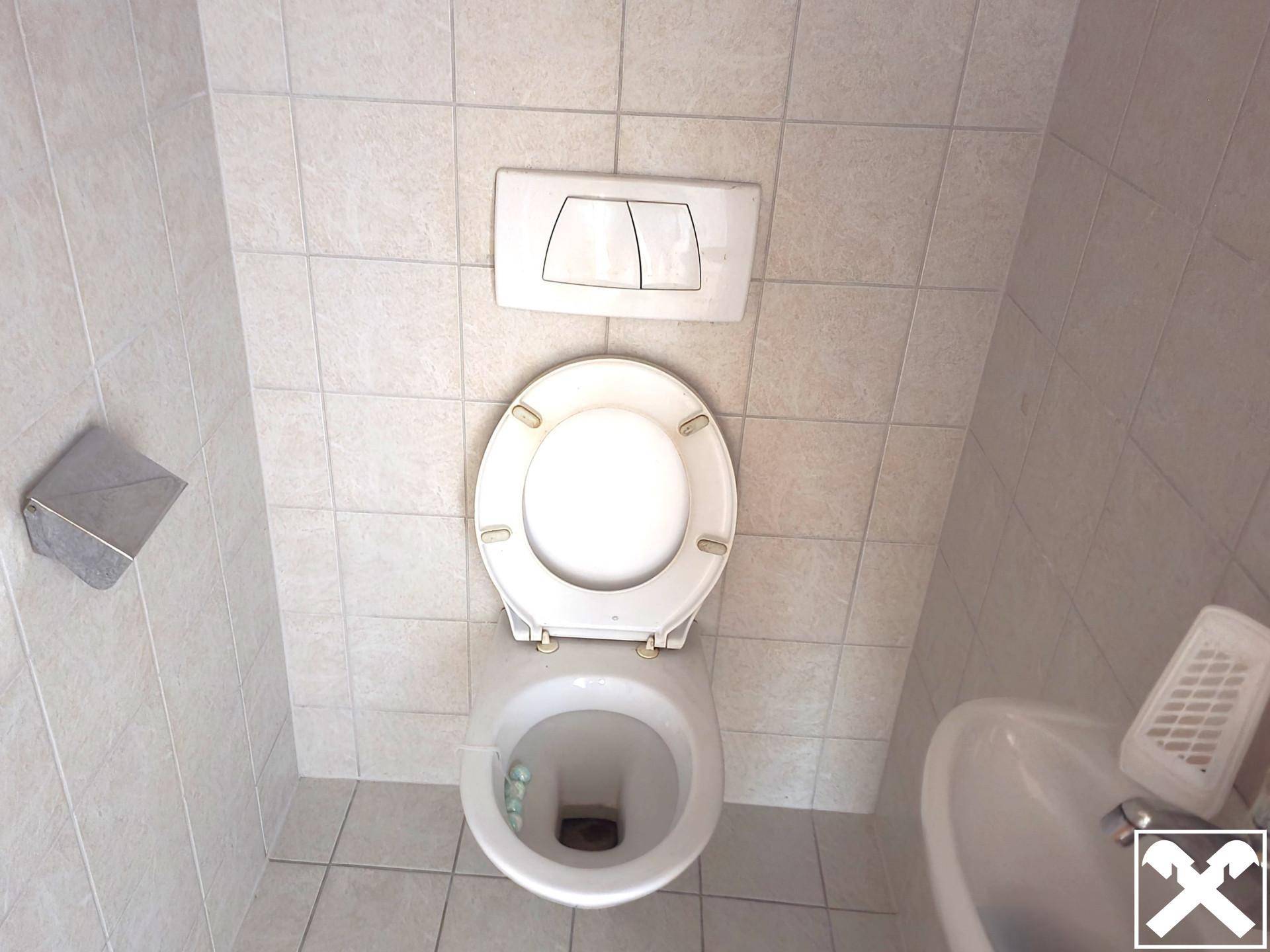 Separate Toilette mit Wand-WC, kleinem Waschbecken und hellen Fliesen.