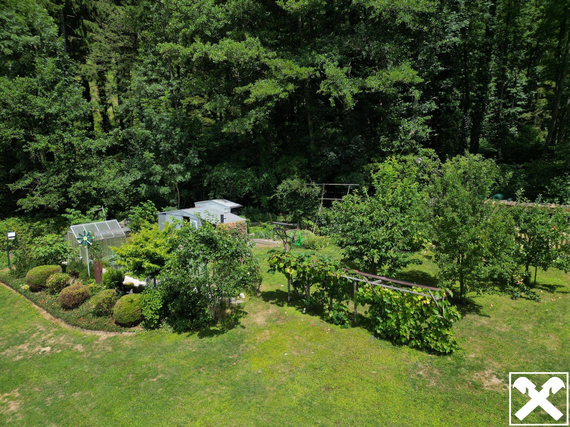 Gepflegter Gartenbereich mit verschiedenen Pflanzen, Bäumen, einem Gewächshaus und einem Geräteschuppen.