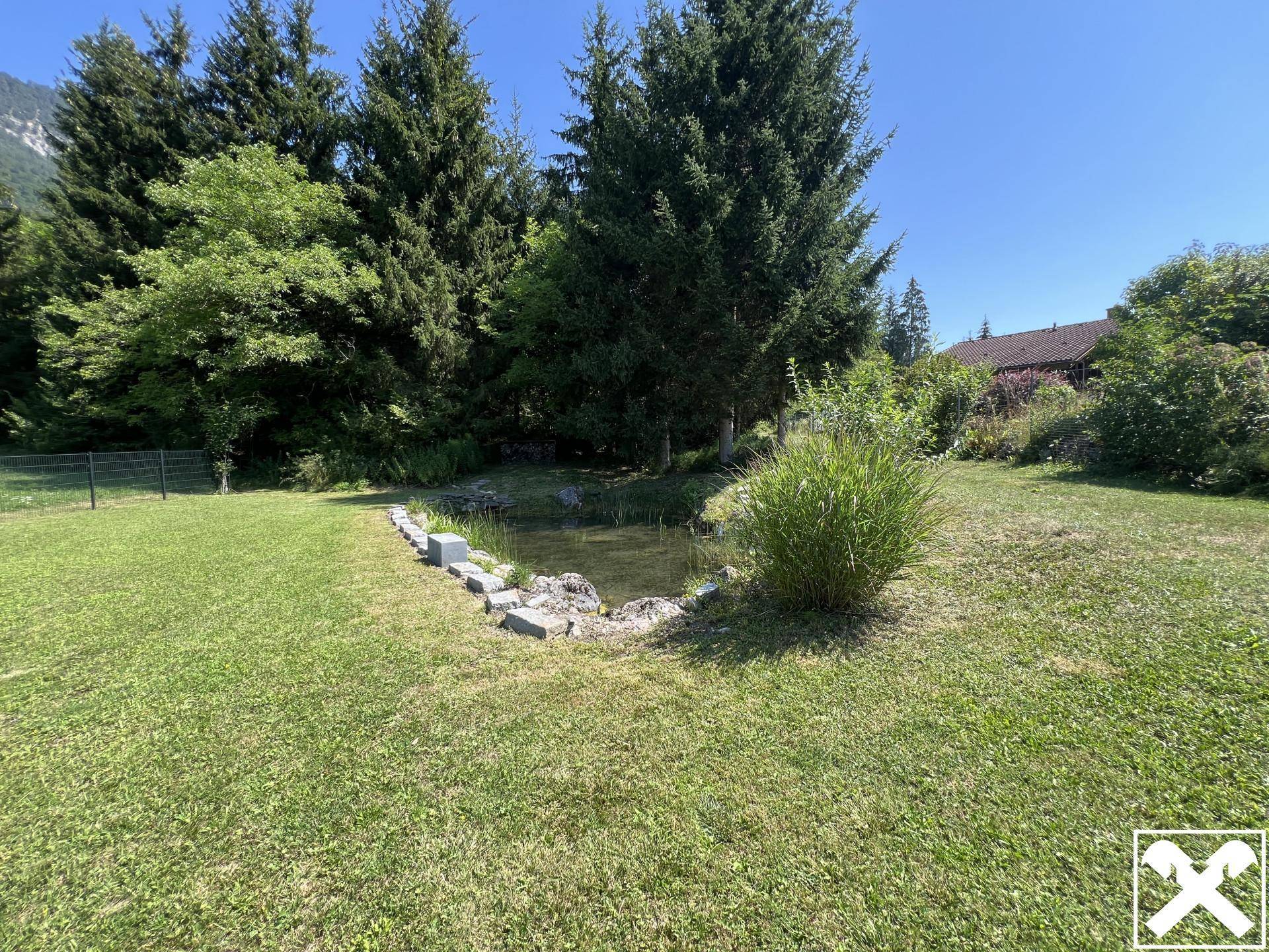 Naturnaher Gartenbereich mit einem kleinen Teich, umgeben von Rasen und hohen Bäumen.
