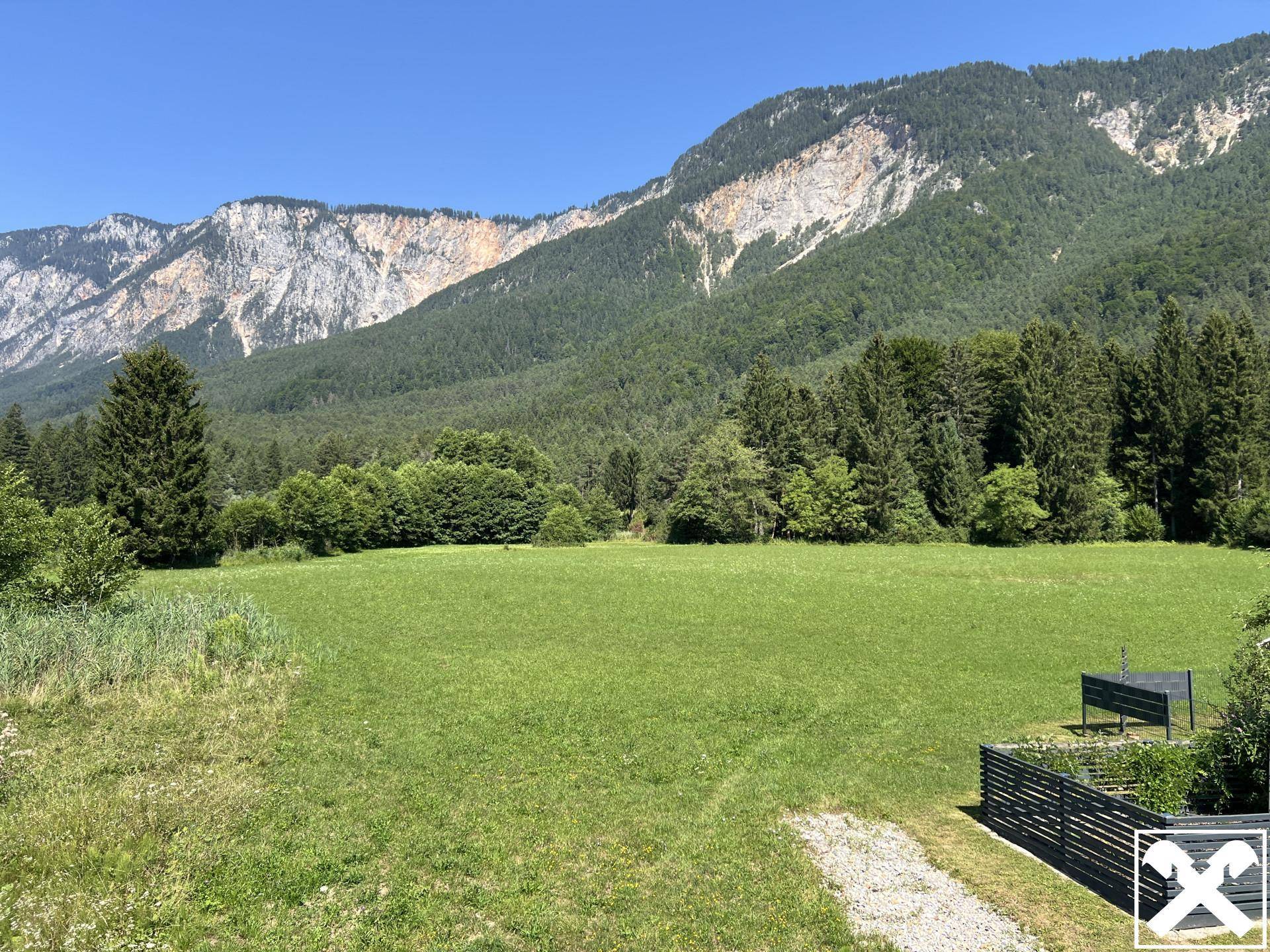Weitläufige grüne Wiesenlandschaft mit angrenzendem Wald und imposanten Bergketten im Hintergrund.