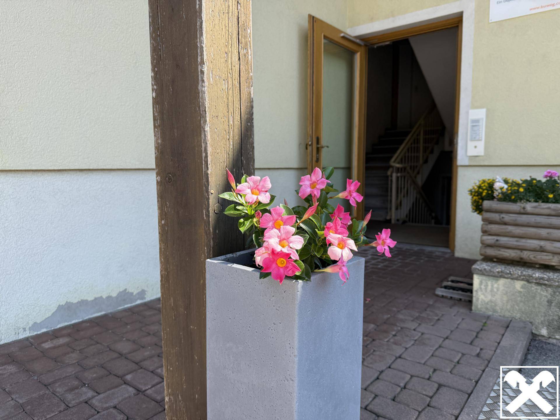 Eingangsdetail