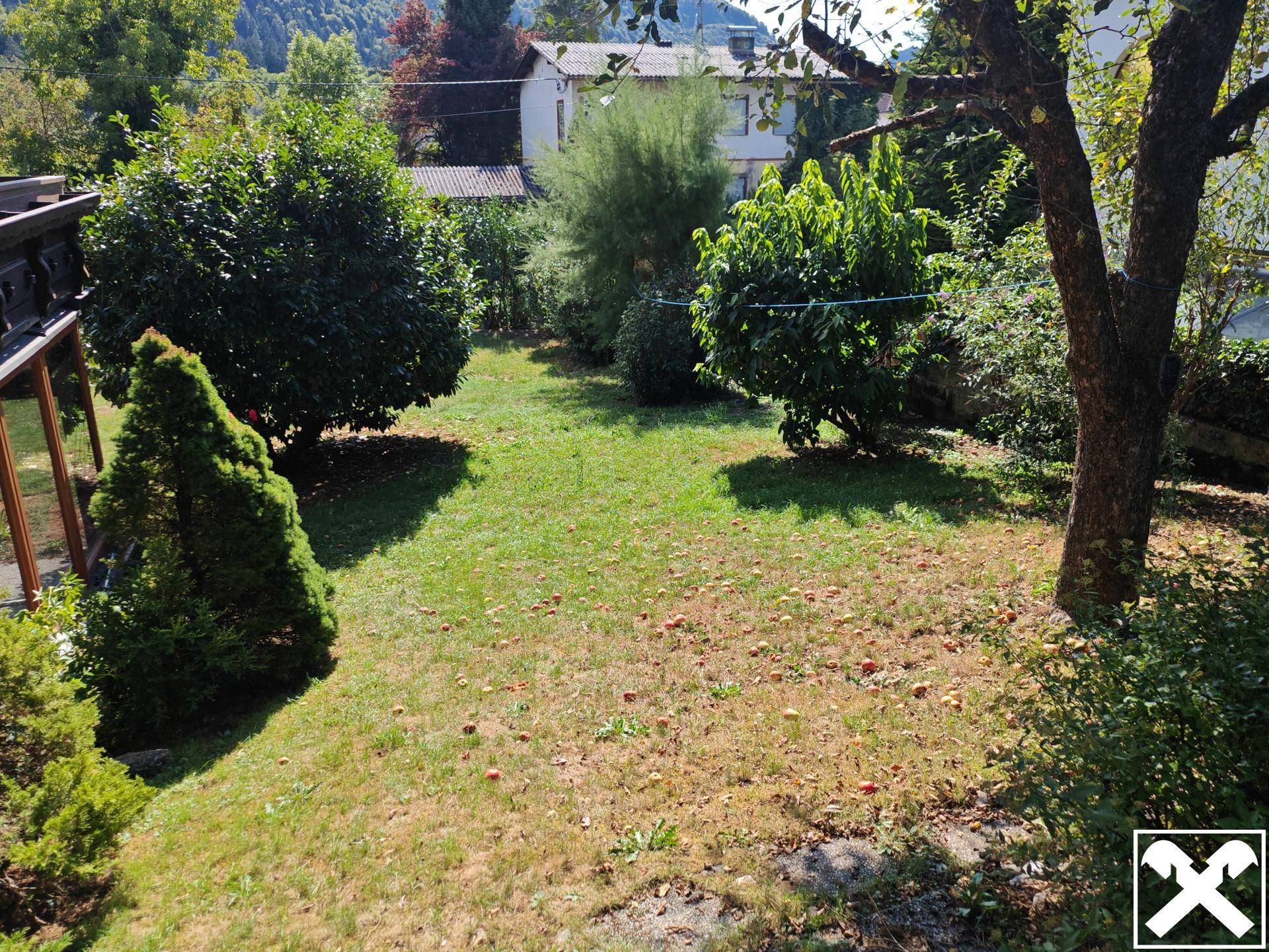 Gepflegter Gartenbereich mit Rasenfläche und verschiedenen Bäumen und Sträuchern.