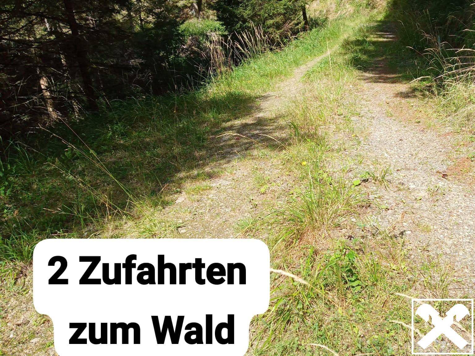 Ein unbefestigter Weg führt durch eine bewaldete und grasbewachsene Landschaft.