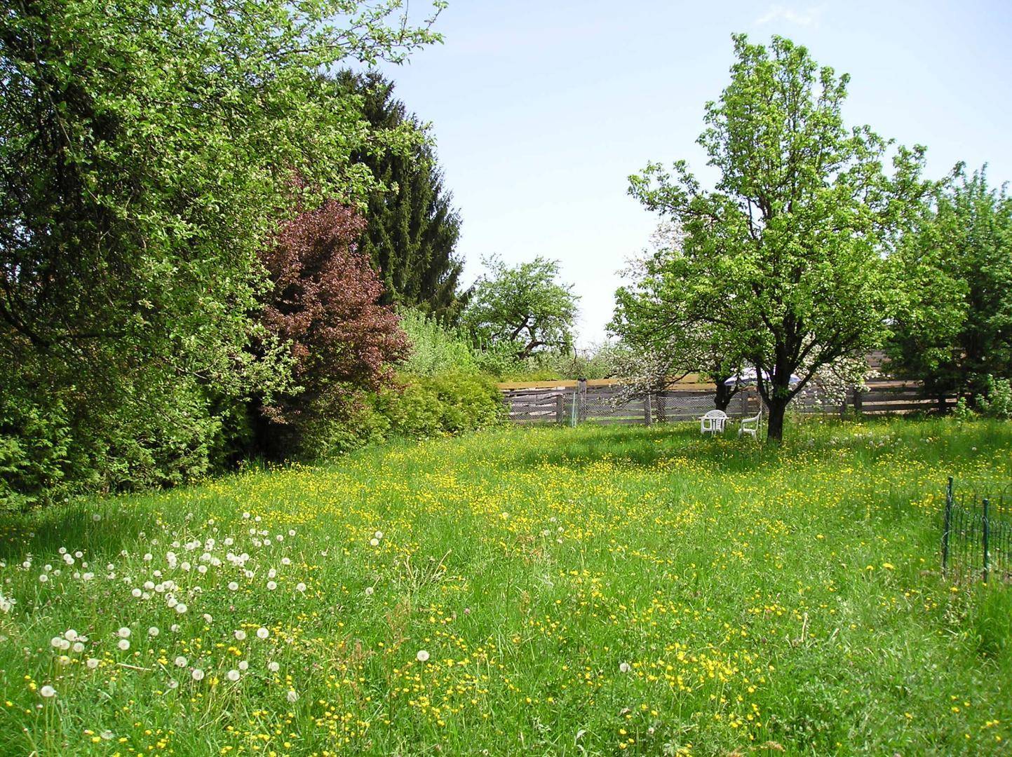 Gartenbereich