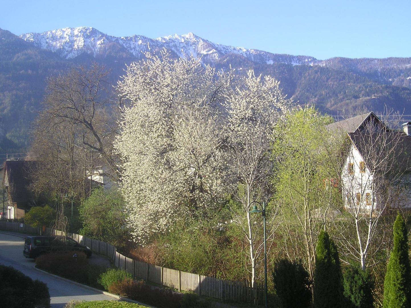 Ausblick Karawanken