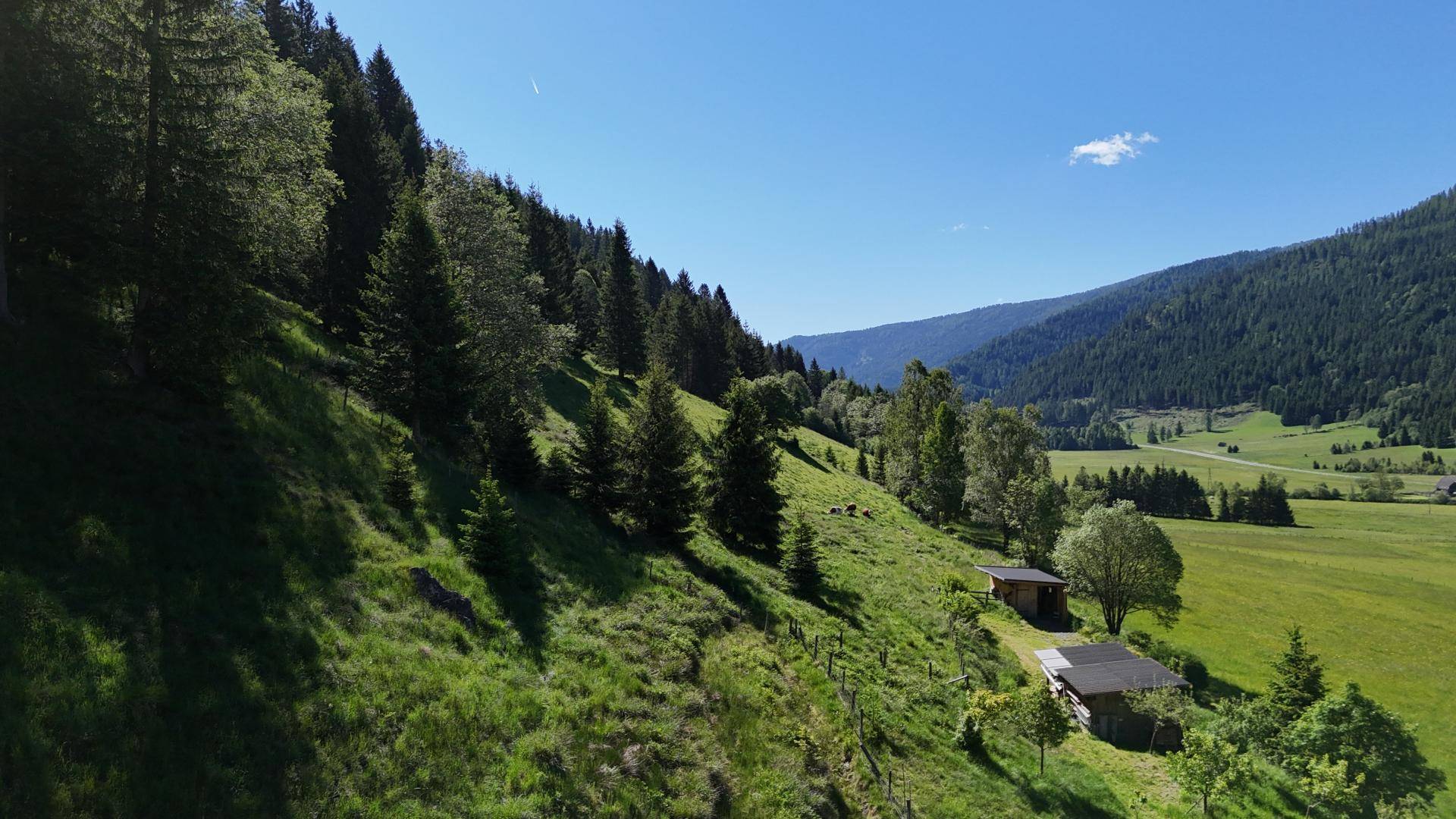 Nebenflächen / Grünland