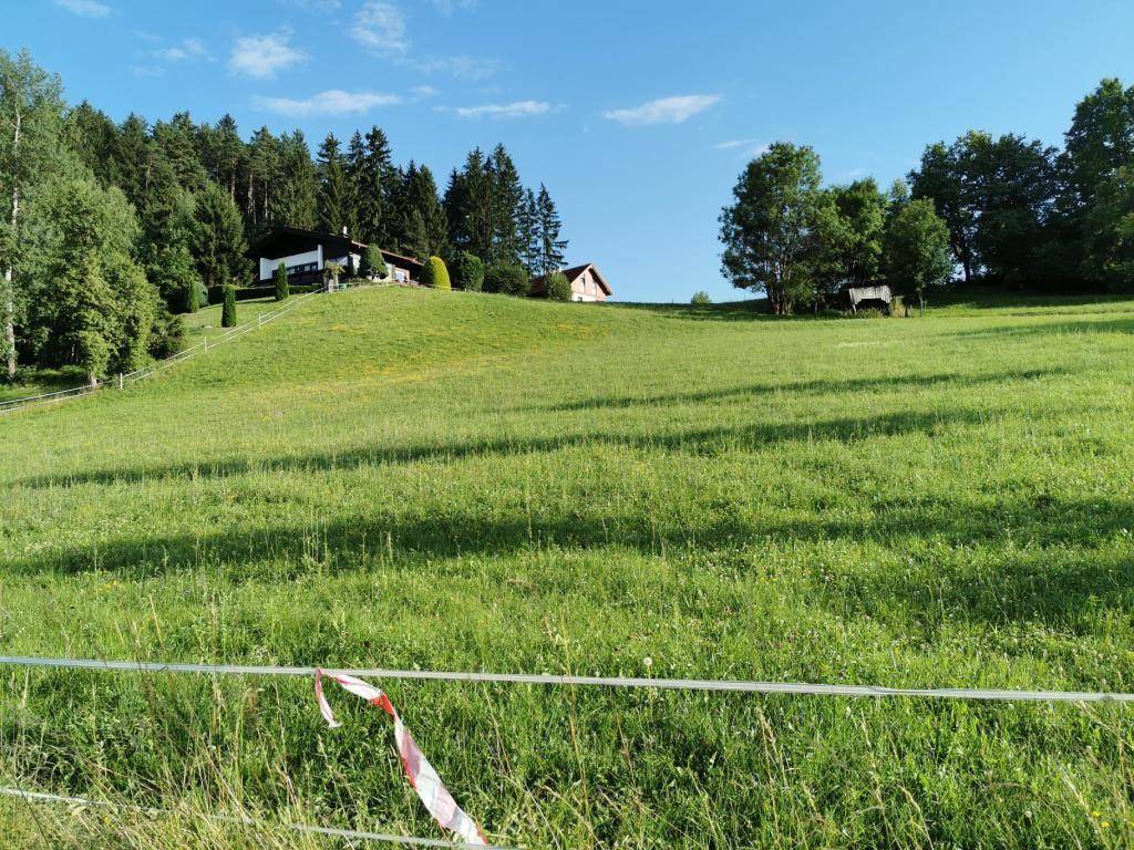 Weitläufige grüne Hügellandschaft mit vereinzelten Häusern und Wald im Hintergrund unter blauem Himmel.