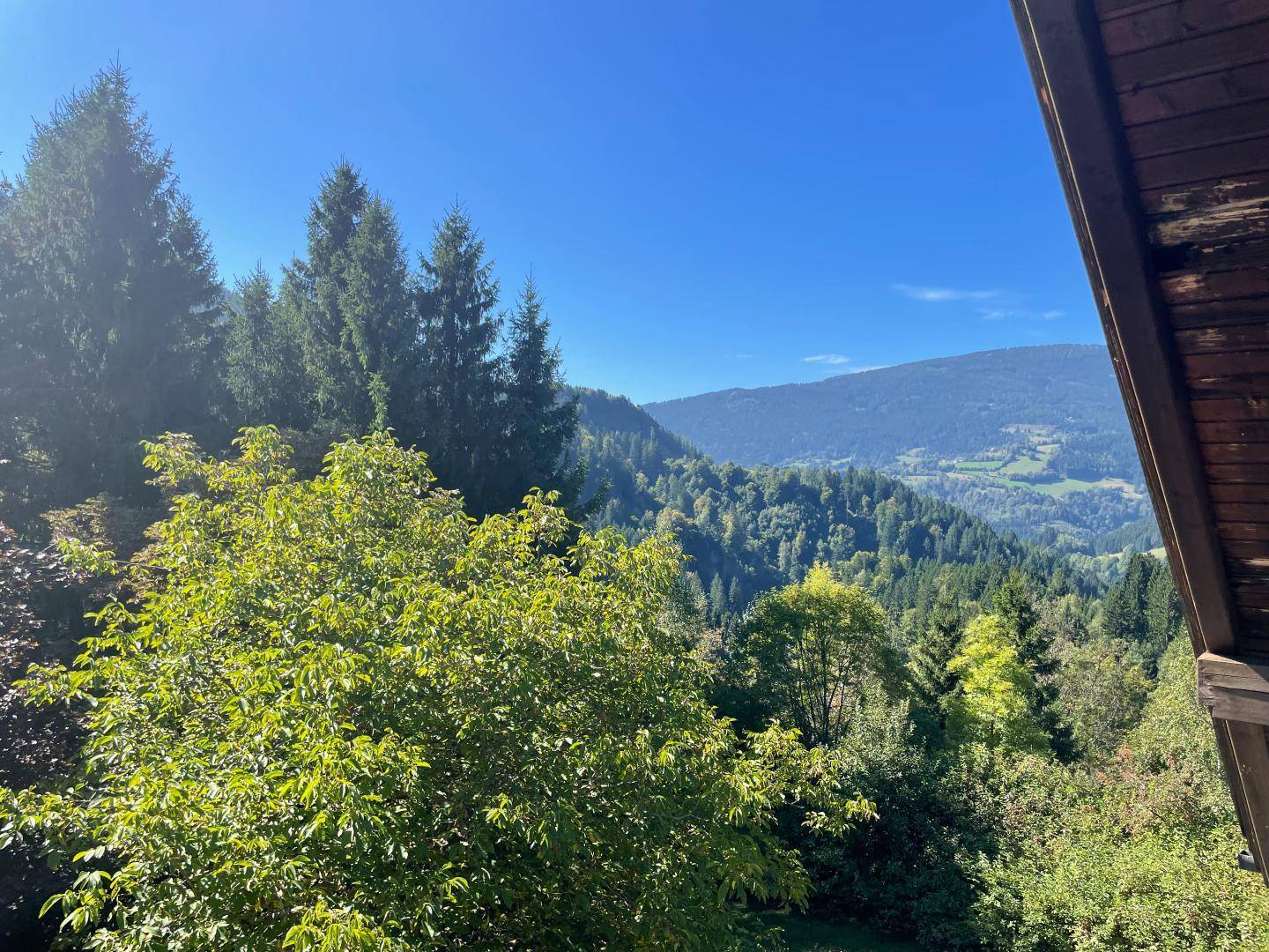 Malerischer Ausblick von einem Balkon auf die umliegende Berglandschaft und grüne Wälder.