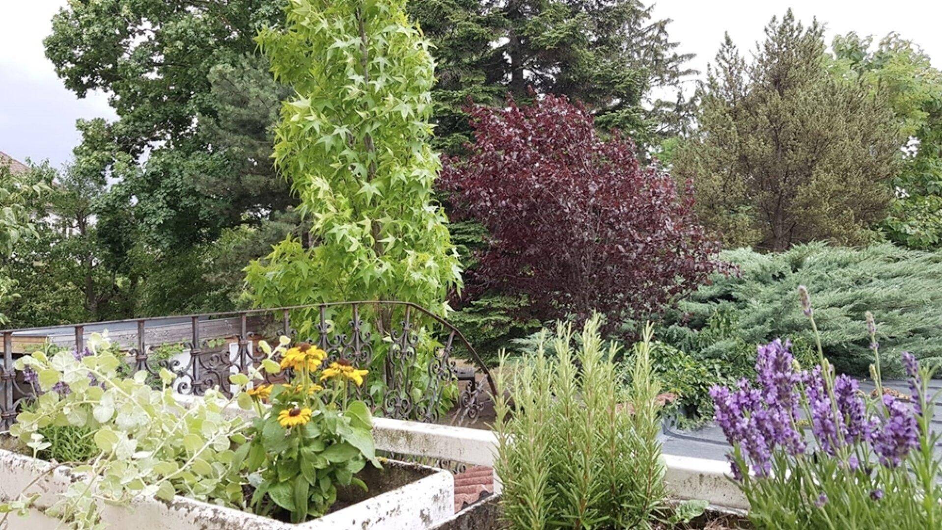 Terrasse mit Bepflanzungsmöglichkeit