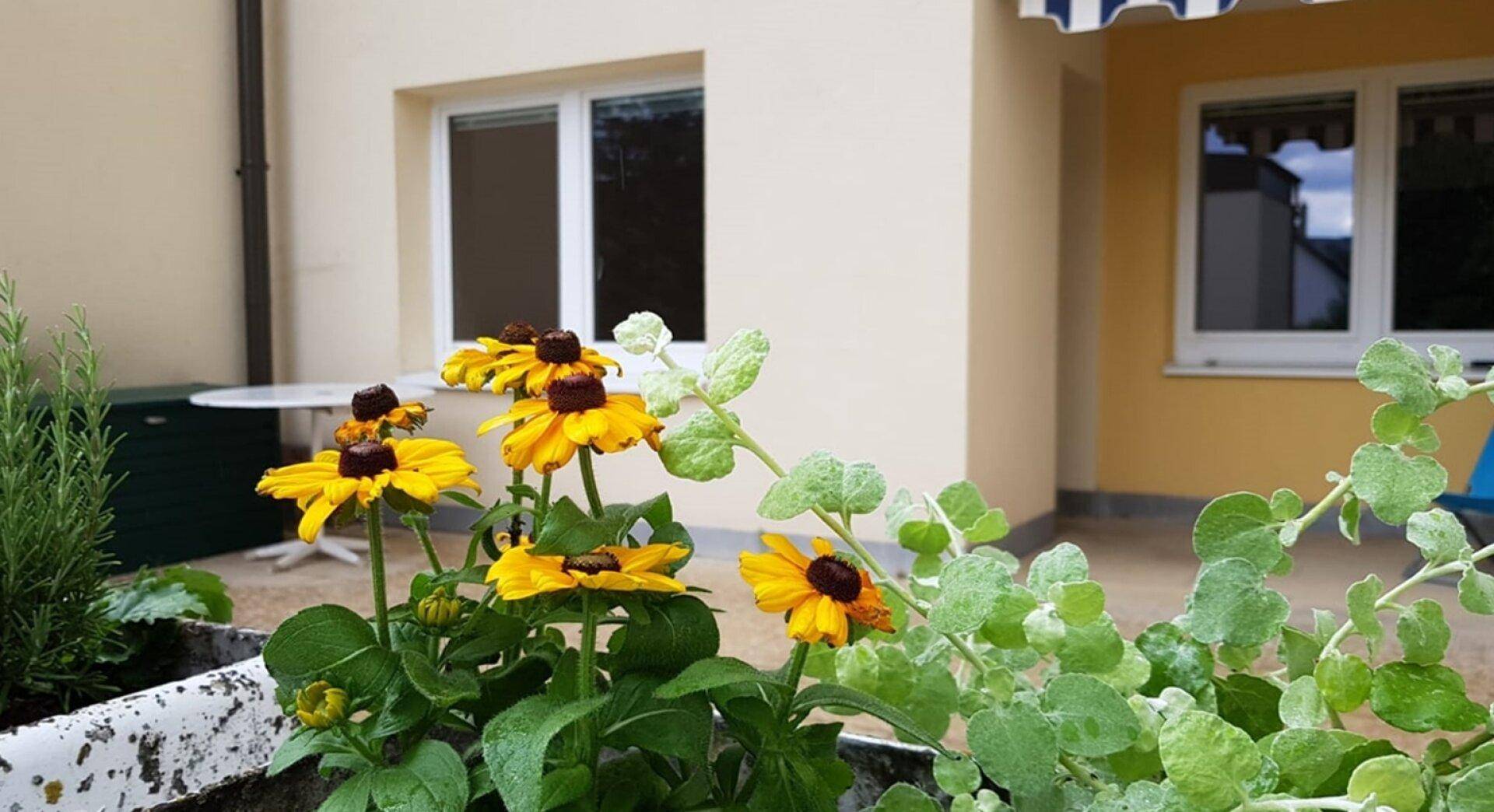 Terrasse mit Blumenschmuck