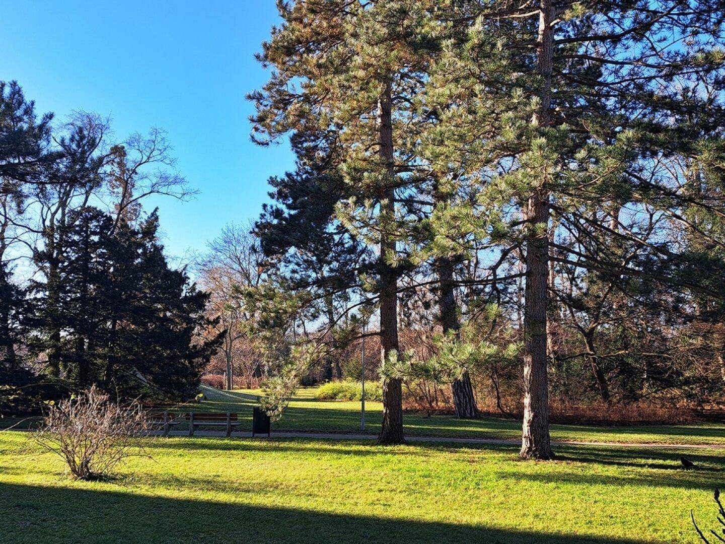 Park vor dem Haus