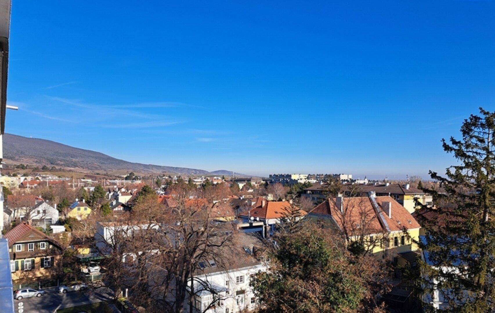 Blick über Baden