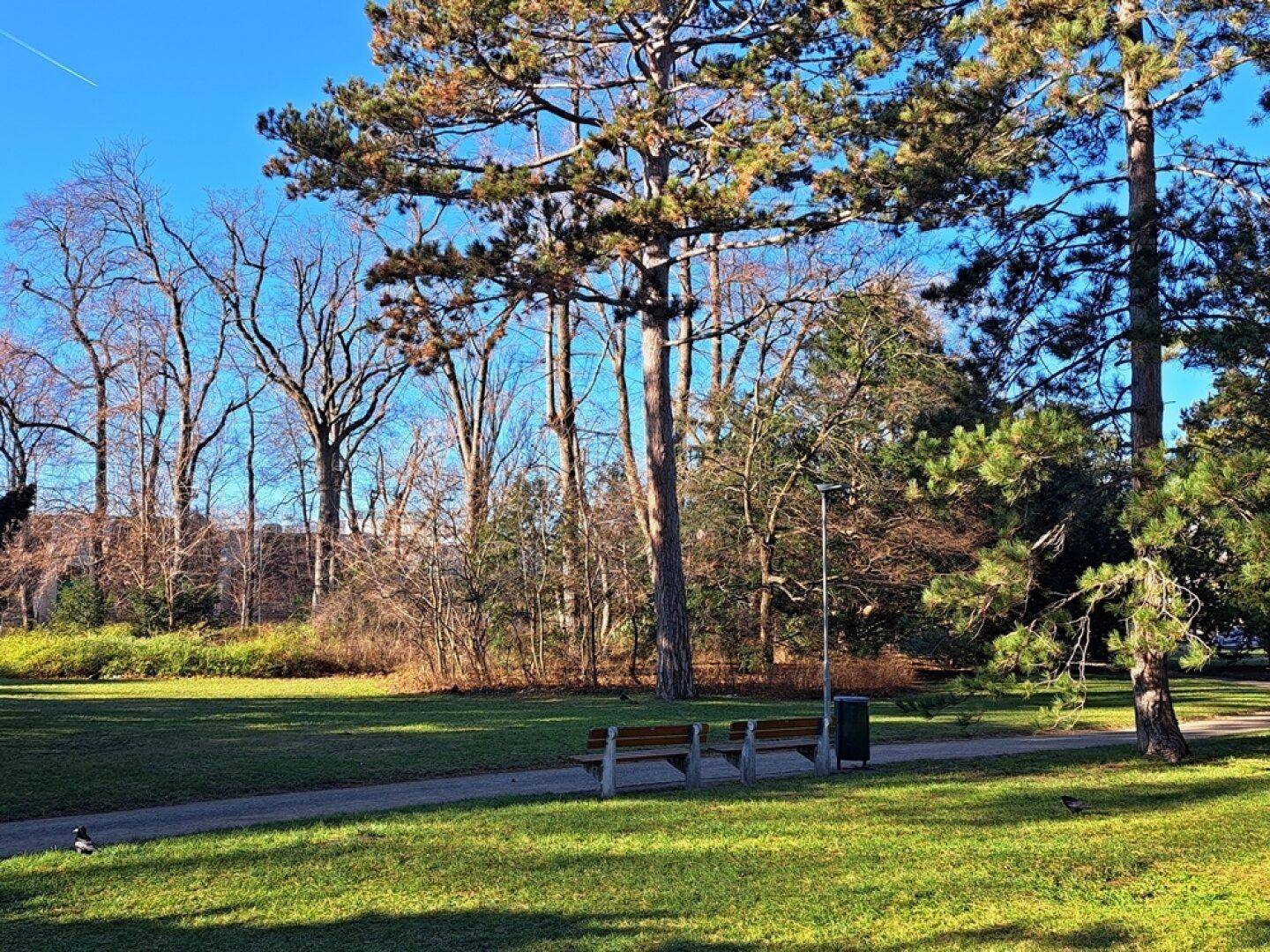 nochmals im Park vor dem Haus