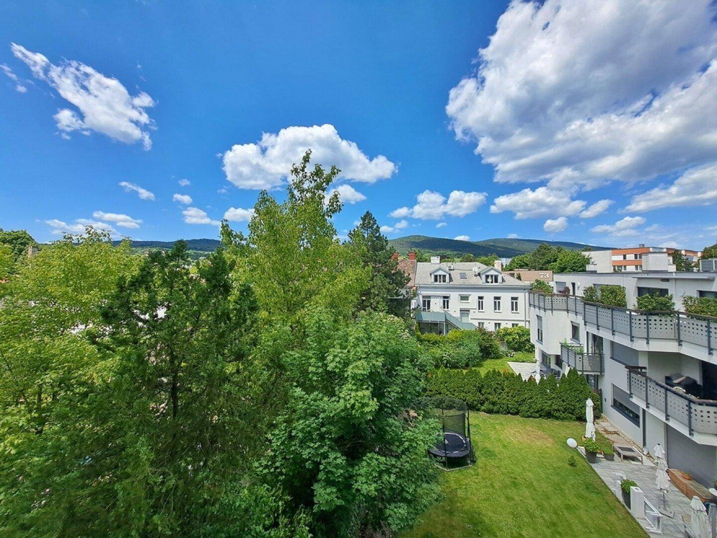 toller Ausblick aus der Küche