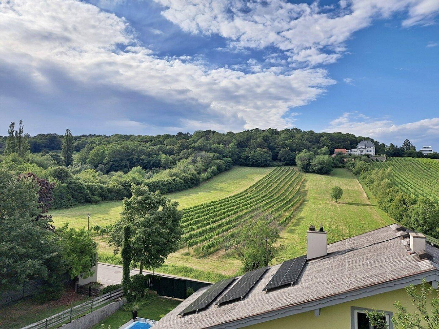Ausblick von Wohnraum (untere Wohnebene)