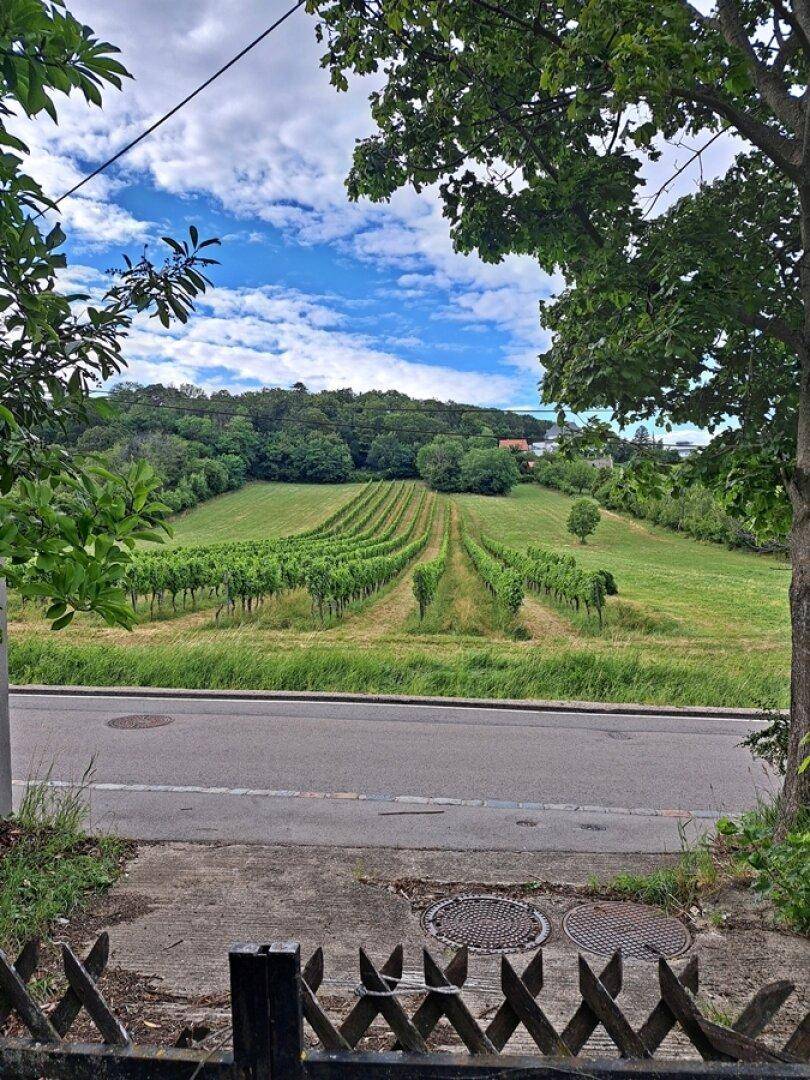 Umgebung und Zufahrt (fürs Rasenmähen) zum rückseitigen Garten