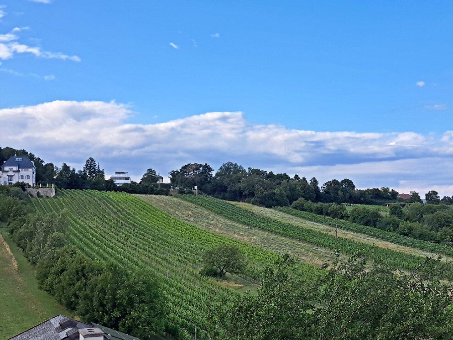 auch mit Balkonzugang und Ausblick