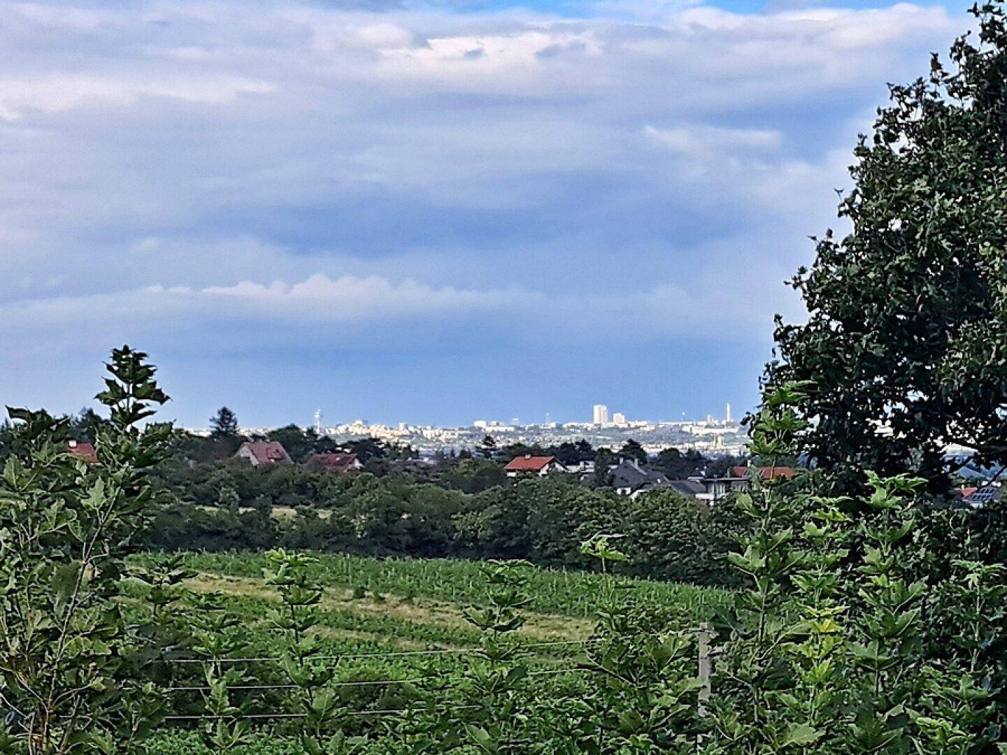 mit Balkon und Aussicht (obere Wohnebene)