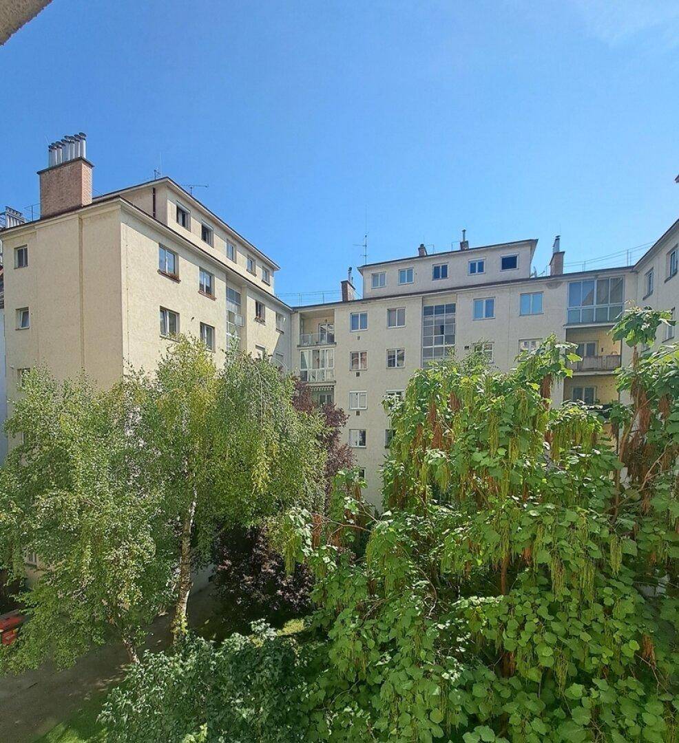 wunderbarer Blick in begrünten Innenhof