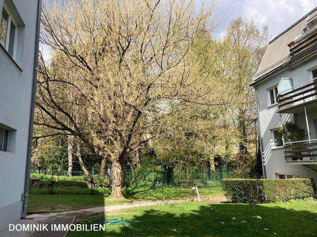 Großer, gepflegter Gartenbereich mit altem Baumbestand und Hecke hinter dem Gebäude.