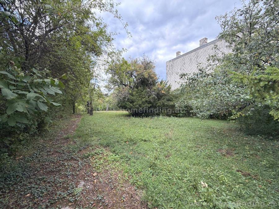 Gartenbereich mit dichtem Grün und einem großen Gebäude im Hintergrund, das von Bäumen umgeben ist.