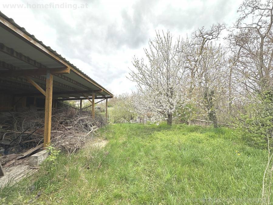 Rustikaler Schuppen mit gelagertem Holz auf einem grünen, bewachsenen Grundstück.