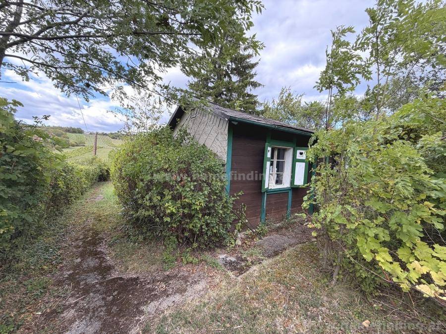 Rustikaler Holzschuppen mit grüner Tür und Fensterläden, umgeben von dichtem Grün und einem Pfad.