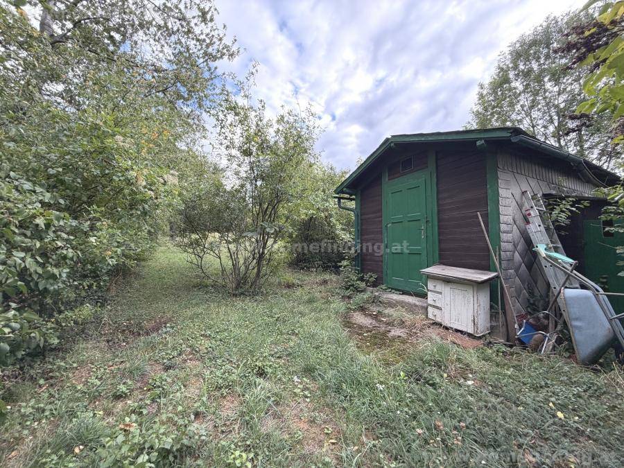 Kleiner Holzschuppen mit grüner Tür und einem Schrank davor, umgeben von einer naturbelassenen Gartenfläche.