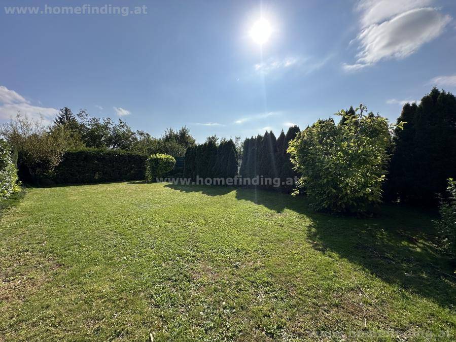 Großer, sonniger Garten mit weitläufigem Rasen und einer Vielfalt an Bäumen und Hecken, die Privatsphäre bieten.