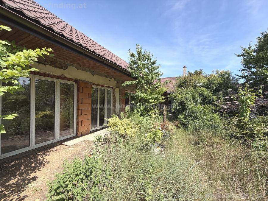Großer Gartenbereich mit viel Grün, Bäumen und Blick auf das Haus.