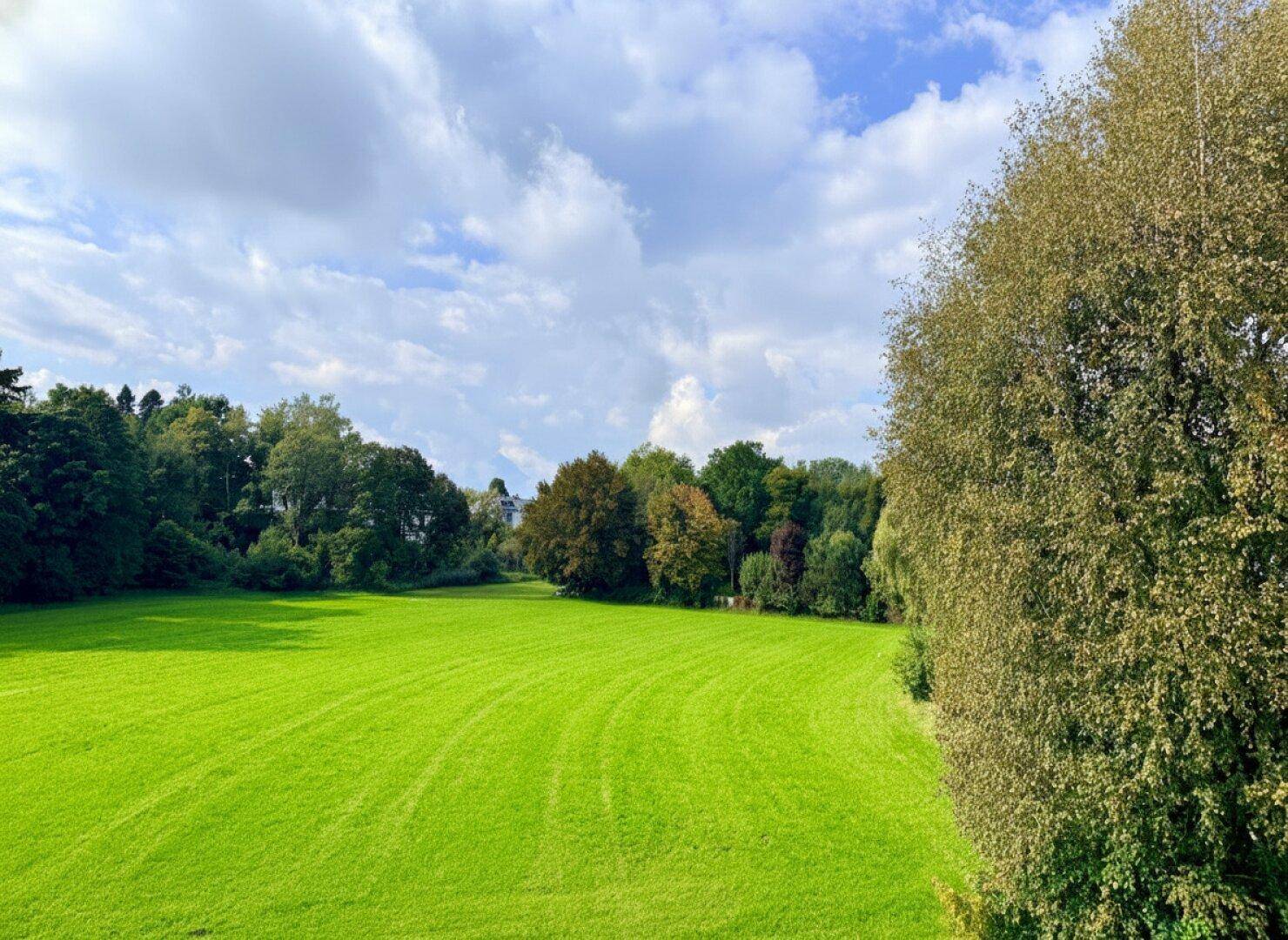 Ausblick