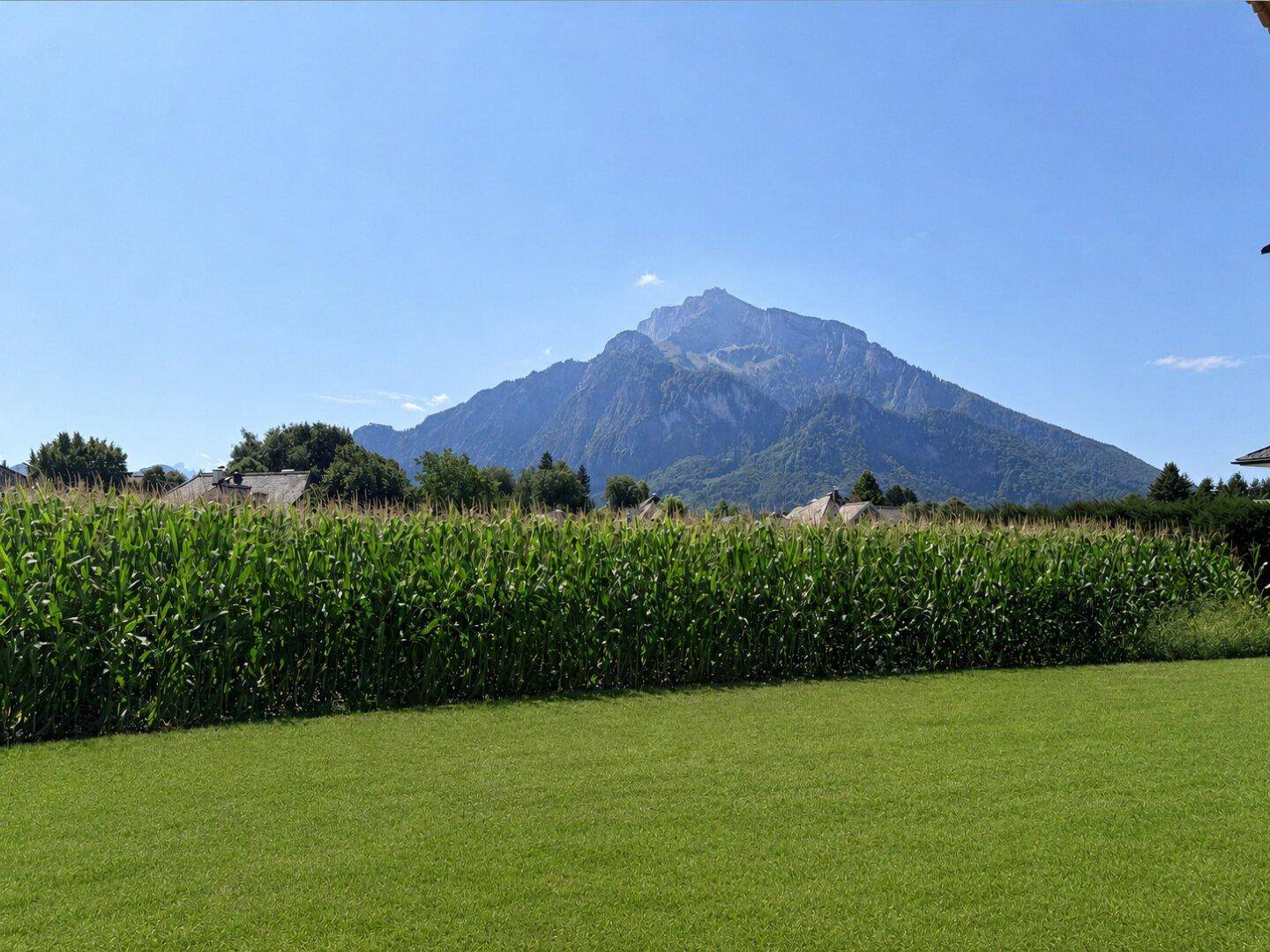 Weitläufiger Blick über grüne Felder und majestätische Berge unter einem klaren blauen Himmel.