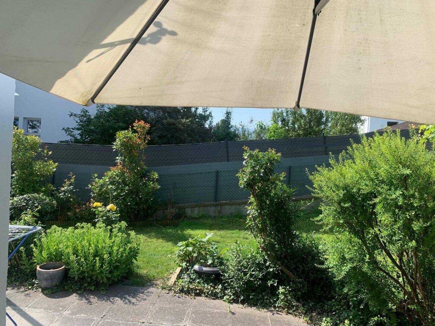 Gepflegter Gartenbereich mit Rasen, Sträuchern und einem Sonnenschirm für entspannte Stunden im Freien.