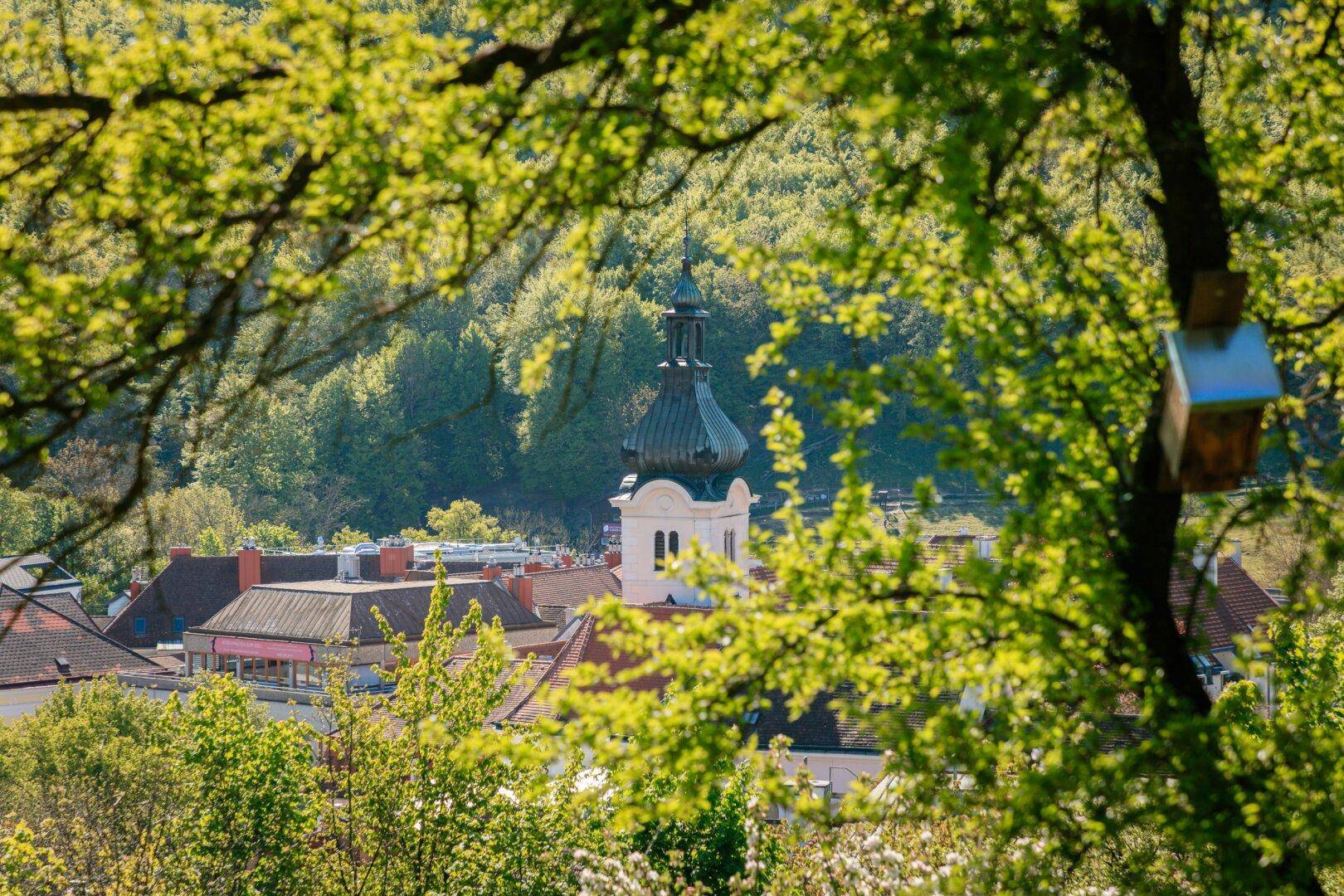 Blick auf eine Kirche und Dächer einer Stadt, umrahmt von frischem Grün der Bäume.
