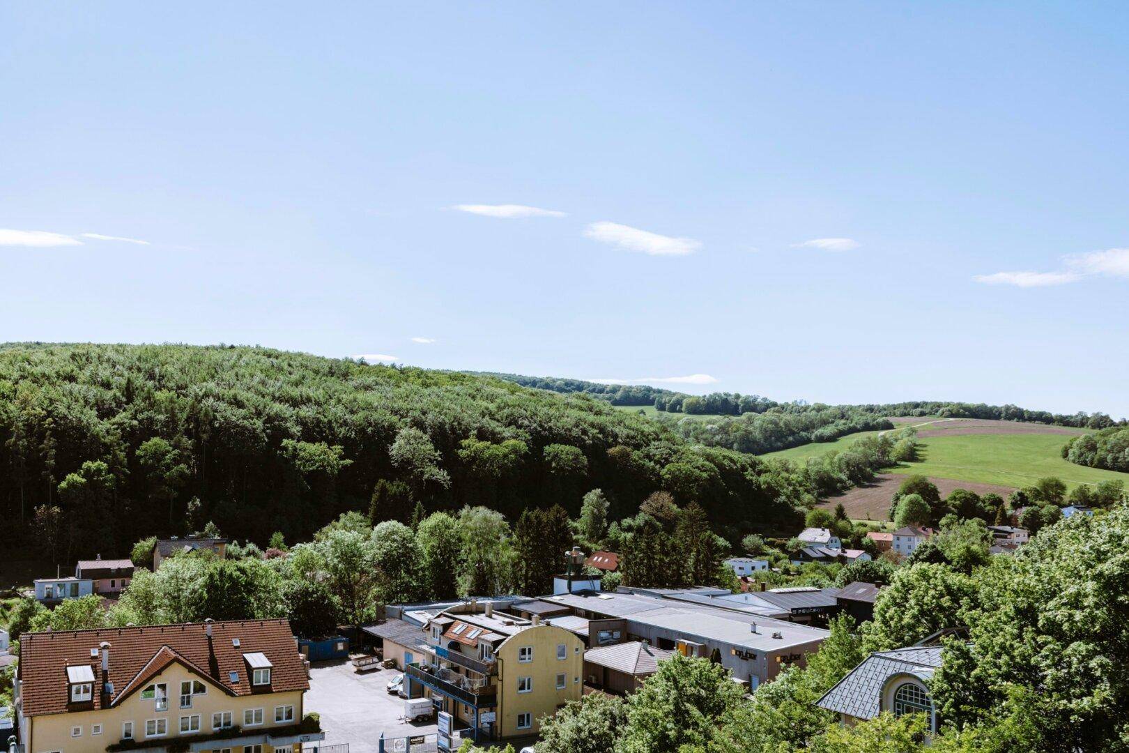 Weitläufiger Blick über eine Siedlung im Tal, umgeben von dichten Wäldern und grünen Feldern.