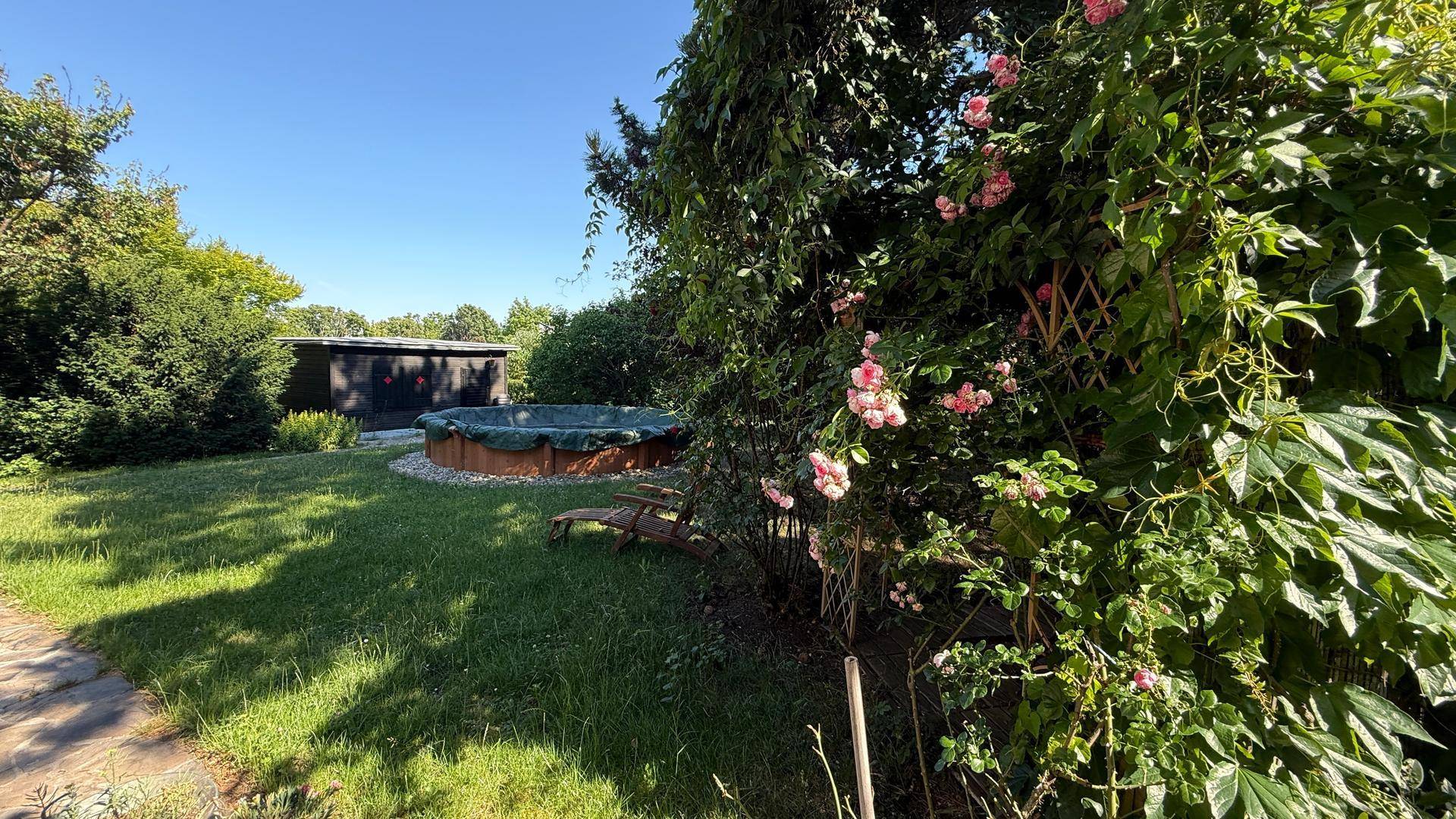 Weitläufiger Gartenbereich mit einem runden Aufstellpool und blühenden Rosensträuchern.