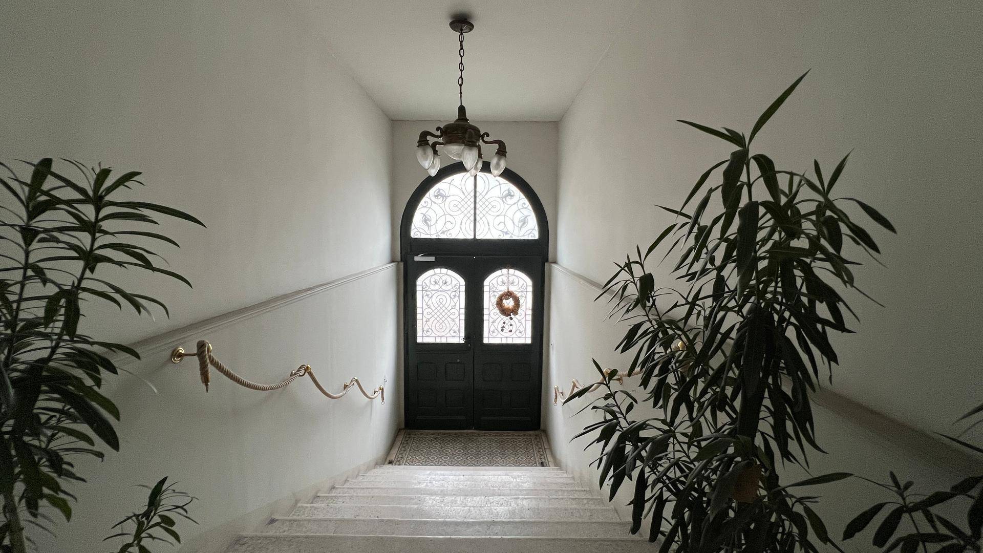 Heller Treppenaufgang mit dekorativer Eingangstür, hohen Decken und Pflanzen in einem Altbau.