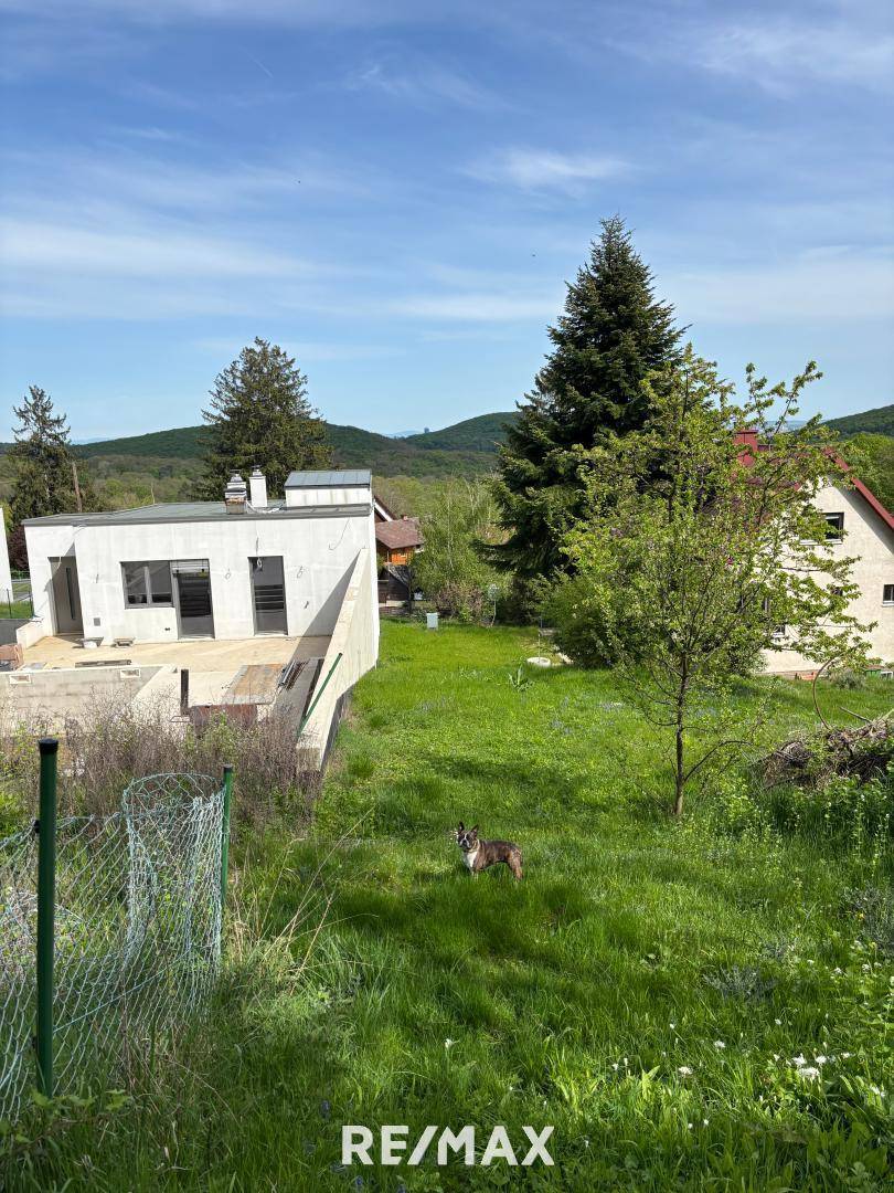 Blick von Oben
