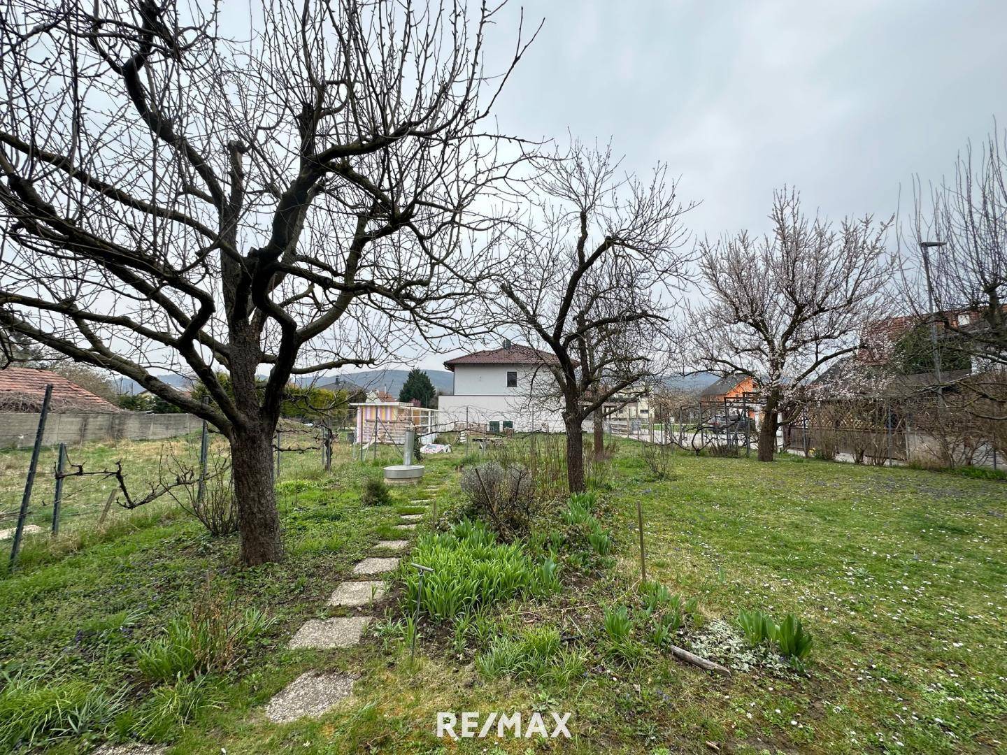 2 Blick in den Garten