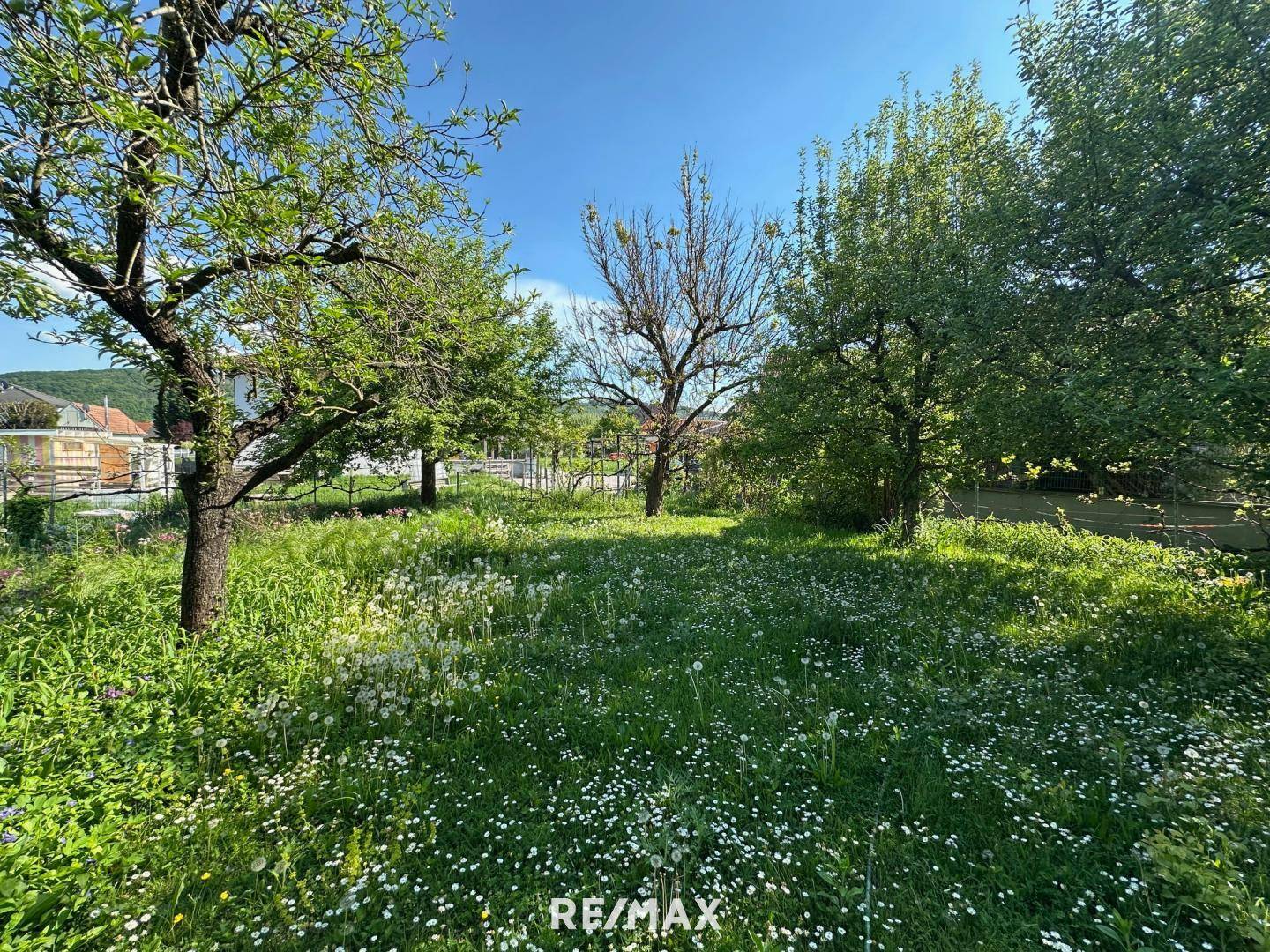 4 Garten