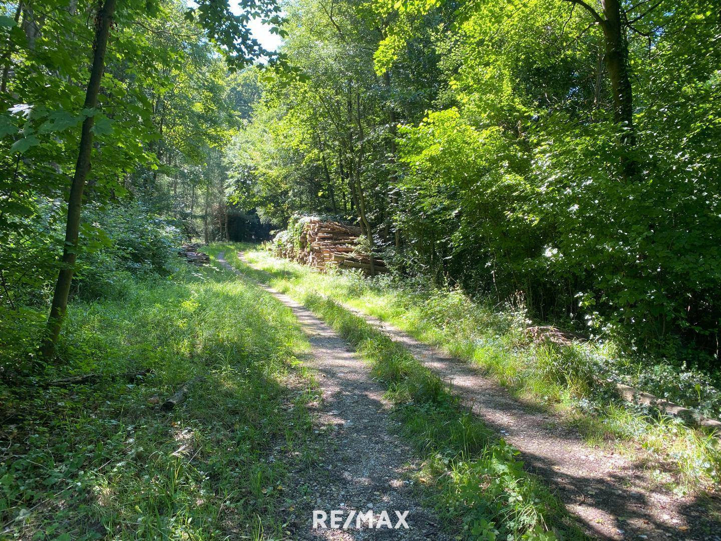 Privatweg-Zufahrt