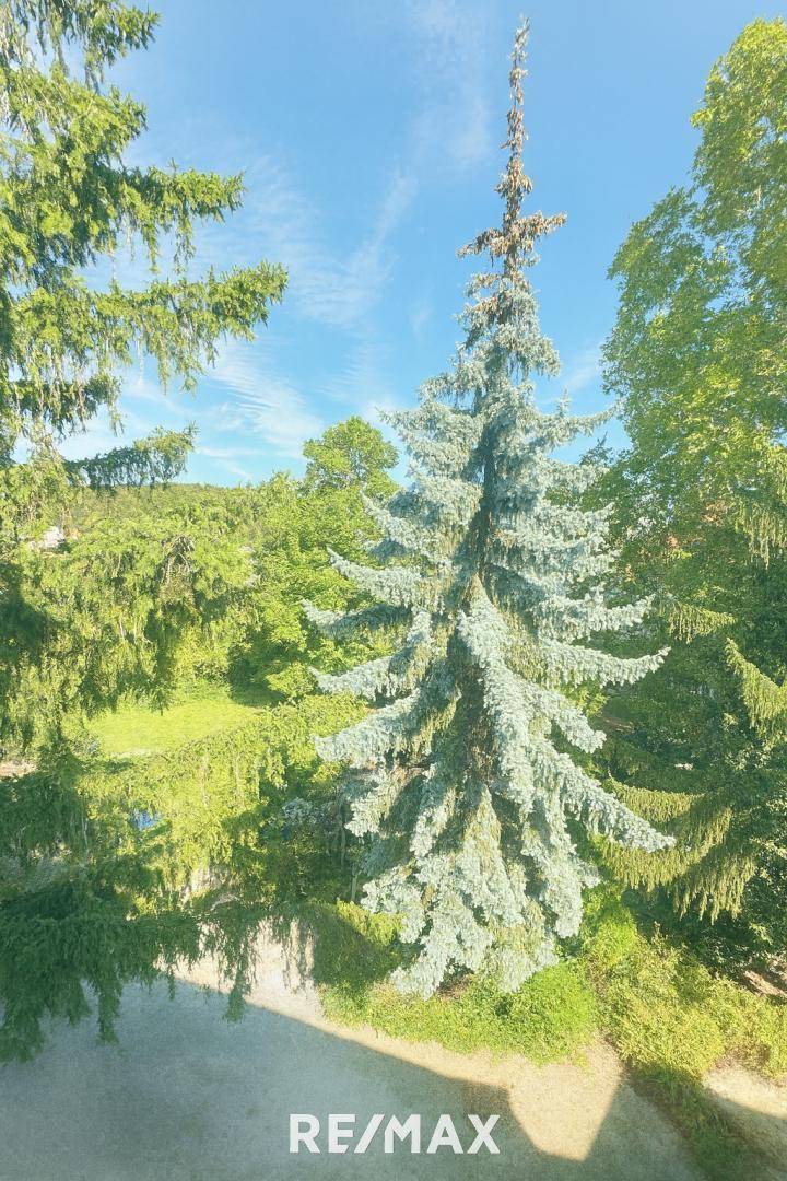 Ausblick vom Zimmer 2