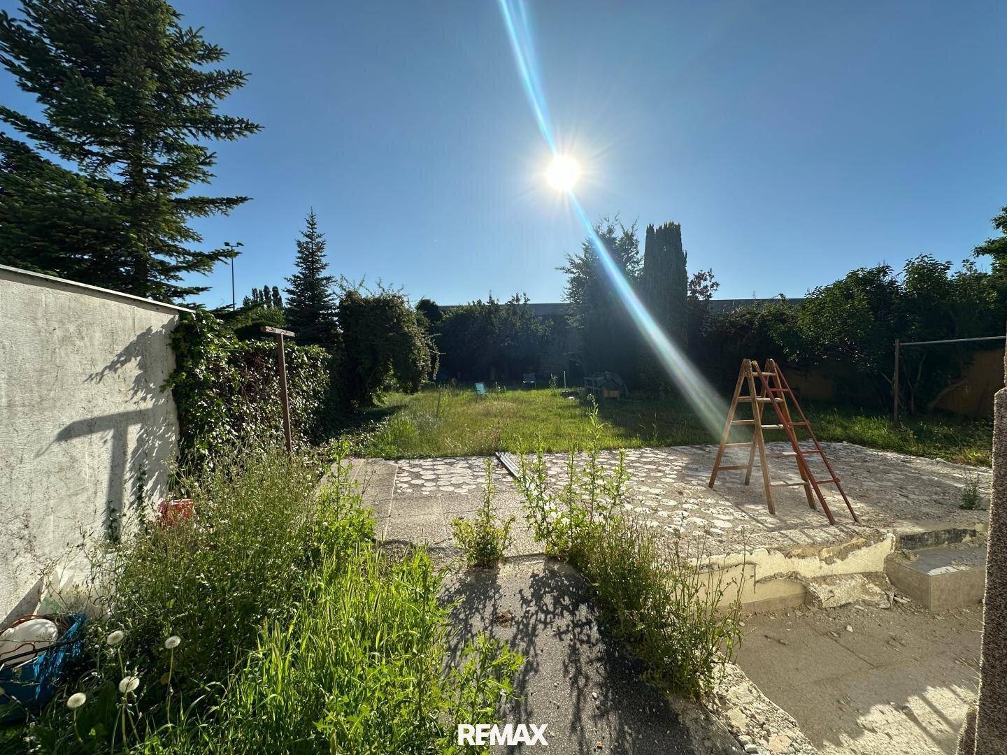 Sonniger Außenbereich mit Betonfläche, Rasen und Bäumen, bietet Potenzial zur Gestaltung.
